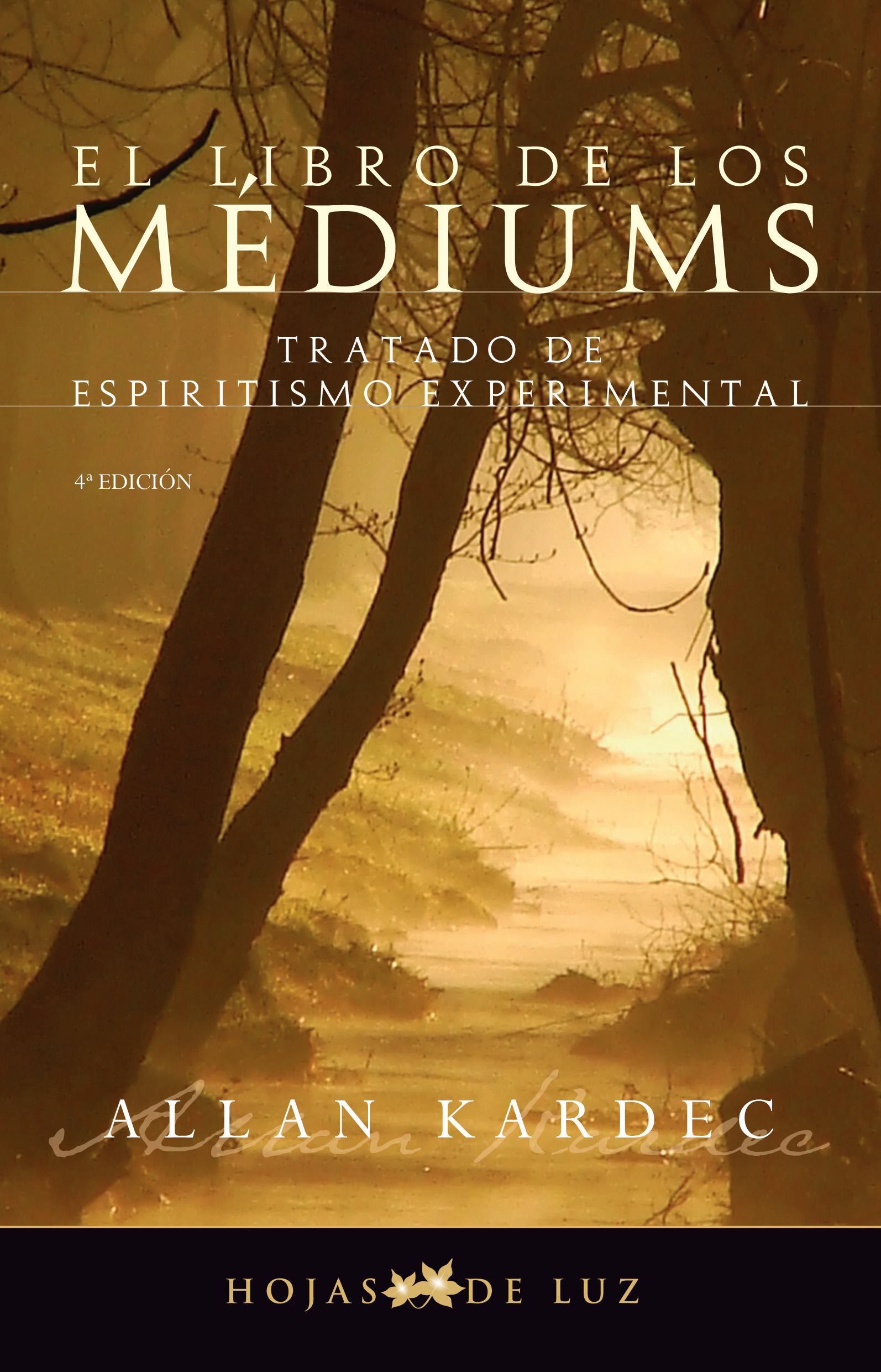 LIBRO DE LOS MEDIUMS, EL                                              